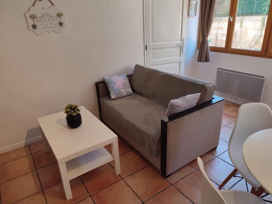 Appartement En Rez De Jardin Et Terrasse Ds Villa Hyères Esterno foto