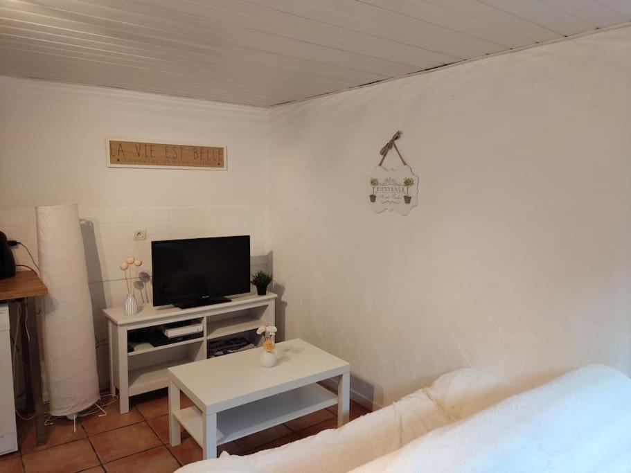 Appartement En Rez De Jardin Et Terrasse Ds Villa Hyères Esterno foto
