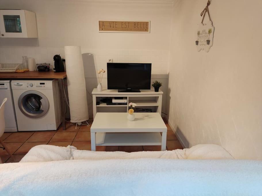 Appartement En Rez De Jardin Et Terrasse Ds Villa Hyères Esterno foto